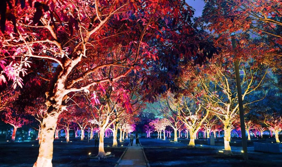 36w εξωτερικά χρώματα RGB Led φως πλημμύρας δέντρων κήπου για προβολή τοπίου