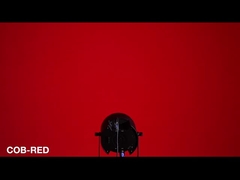 Η ισοτιμία ΣΠΑΔΊΚΩΝ RGBW μπορεί