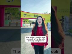 Υπόθεση έργου Shunde Bruce Lee