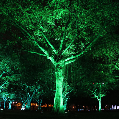 IP65 6W εξωτερικό αλουμίνιο σε αδιάβροχο Led Spike Tree Flood Light ρυθμίσετε το φως των προβολέων