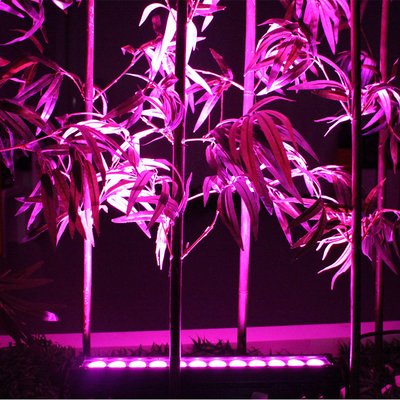 12X3W εξωτερικό LED πλυντήριο τοίχων IP65 αδιάβροχο DMX RGB LED γραμμικό φως πλυντηρίου για το φασάδικο φωτισμό αρχιτεκτονικών κτιρίων